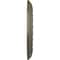 Ekena Millwork Jackson Ceiling Medallion (Fits Canopies up to 7 3/8"), 12 1/4"OD x 4"ID x 1 1/8"P, Painted Turtle CM12JAPTF - alternate 4